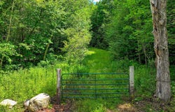 1498 North Hollow Road, Rochester, VT 05767