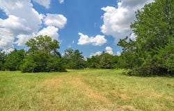 4900 Andreas Road, Round Top, TX 78954