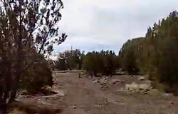 8594 BOBCAT Drive, Show Low, AZ 85901