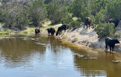 Rifle Ridge lot: 22, Burnet, TX 78611