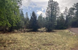 1907 Pine Top Drive, Overgaard, AZ 85928