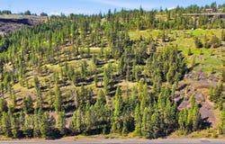 NKA- Hawk Creek Ranches, Davenport, WA 99122