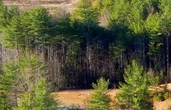 1.85 acres Lot 154 Rocky Falls Lane unit: 154, Lenoir, NC 28645
