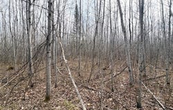 State Highway 13, Maple, WI 54854