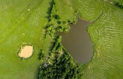 70+/- Acres Turner, Franklin, TX 77856