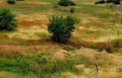 Tbd Mesa Road, Mesa, ID 83643