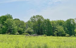 Cortez Road, Jefferson Township, PA 18436