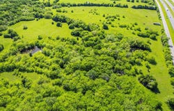 Tract 4 - 39ac Farm Road 1737, Greenville, TX 75402