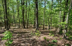 125 ENDER DRIVE, MOOREFIELD, WV 26836