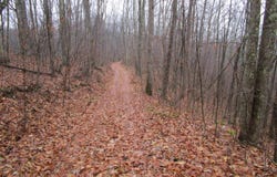 N Pheasant Mountain Road, Kerens, WV 26276-0010
