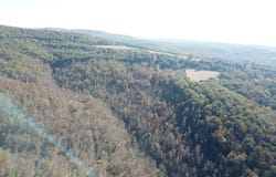 000-13222-000 Dabney Road, Jerusalem, AR 72080