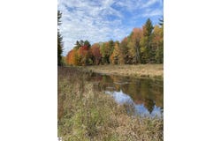 2823 River Ridge Road, Alger, MI 48610