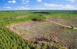 Tract 4 Morris Break Road, Odum, GA 31555
