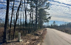 - Pettey Road, Forest, MS 39074