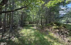 497 Timber Ridge Drive, Hawley, PA 18428