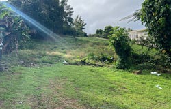 PR-931 Torregrosa, Gurabo, 00778
