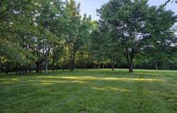 113 Locust Grove Drive, Georgetown, KY 40324