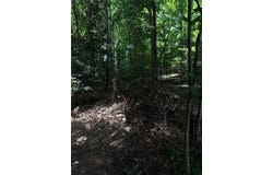 1805 Alcovy Ridge Lane, Loganville, GA 30052