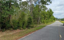 Langdale Drive, Nashville, GA 31639