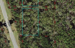 Miller Side Road, Lloyd, FL 32337