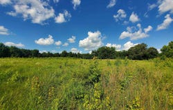 1306 CR 461, Piggott, AR 72454