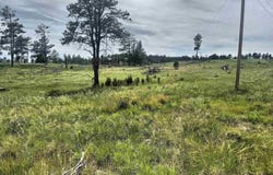 TBD Jenny Road, Hot Springs, SD 57747