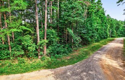 4280 LEES COURT, LOCUST GROVE, VA 22508