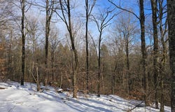 0WP Junction Rd, Guilford, NY 13733