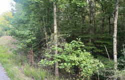 0 Wohalie Lane, South Pittsburg, TN 37380
