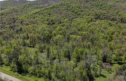 1581 Chipmonk Road, Carrollton, NY 14706