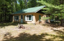 17644 Stronach Dam Road, Wellston, MI 49689