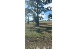 19 CARLINE Lane, PLACIDA, FL 33946