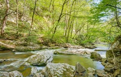 39 Acre Tumbling Creek Rd, Saltville, VA 24370