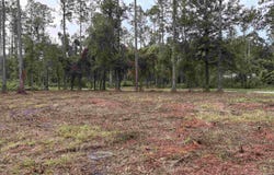1629 Walker Springs Rd., Monticello, FL 32344