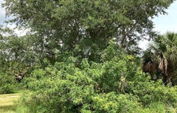 KIMBERLY DRIVE, NORTH PORT, FL 34288