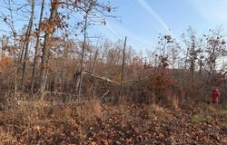 Fox Cir Drive, Mountain View, MO 65548