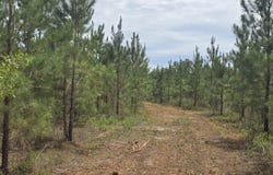 028 Marvin Murphy, Ellaville, GA 31806
