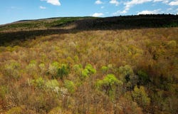 1073 Chapel Rd, Bennington, VT 05201