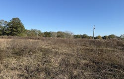 1.52 Acre Crenshaw Rd, Lucedale, MS 39452