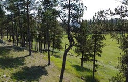 Blk 6 Lot 10, Hill City, SD 57745