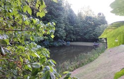 332 Sleepy Hollow Rd, Sneedville, TN 37869