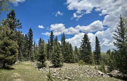 Lot 15 Pleasant Meadow Drive, Angel Fire, NM 87710