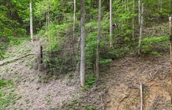 Lot 33 Black Walnut Flats Road, Sevierville, TN 37876