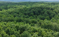 00 S Eagle Creek Rd, Holladay, TN 38341