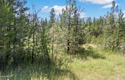Tbd Homestead Rd, Athol, ID 83801