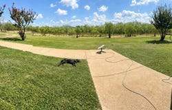 6960 FM 937, Thornton, TX 76687