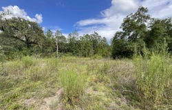 *Lot 57* Vacant NE Blackjack Loop unit: 1, Lee, FL 32059