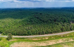 4.8 Acres County Road 33, Hamilton, AL 35570