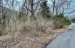 Lot 47 TUPELO LOOP, SPRINGFIELD, WV 26763