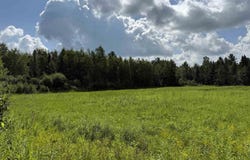 TBD Tree Top, Ironwood, MI 49938